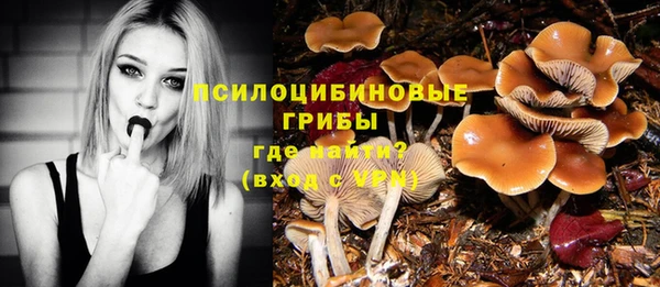 тгк Карпинск