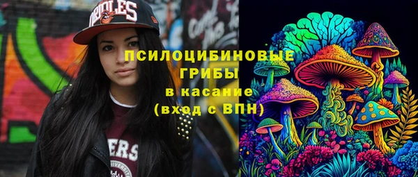 тгк Карпинск