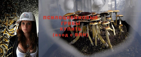 героин Касимов