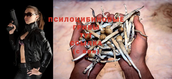 тгк Карпинск