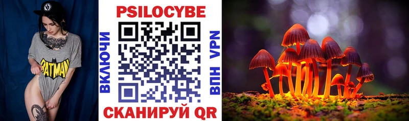 Купить закладки  Елабуга  Галлюциногенные грибы MAGIC MUSHROOMS 